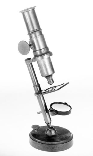 ball-and-socket compound microscope