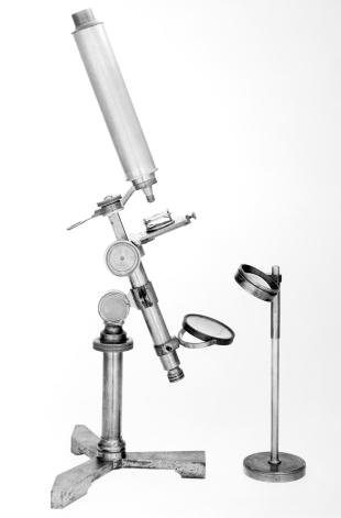 combination live box and microscope stage micrometer