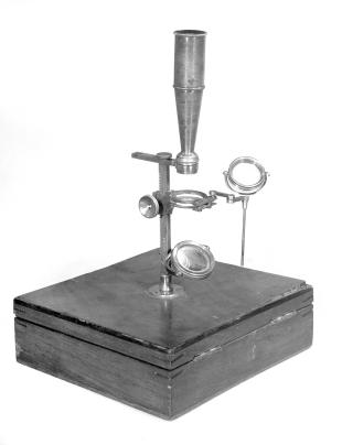 Cary-type compound microscope