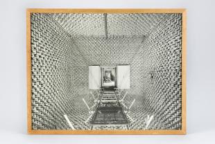 photograph of anechoic sound chamber