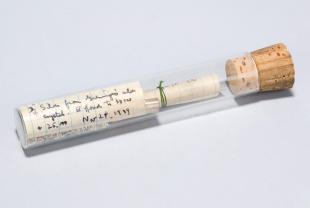 platium wire sample in a stoppered glass test tube