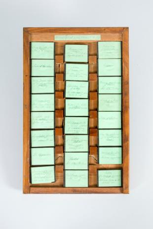set of 24 microscope slides with injected specimens
