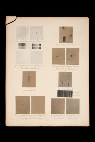 research talk illustration:  Early photograhs of Novae, 1893-1898