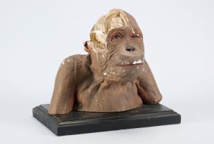 model of the head of an orangutan with brain exposed on the side