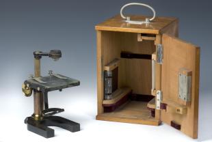 Leitz large dissecting simple microscope